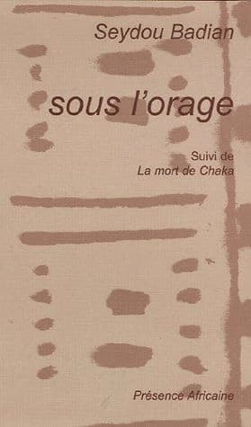 Sous l'orage (Kany) : roman, pièce en cinq tableaux : pièce en cinq tableaux