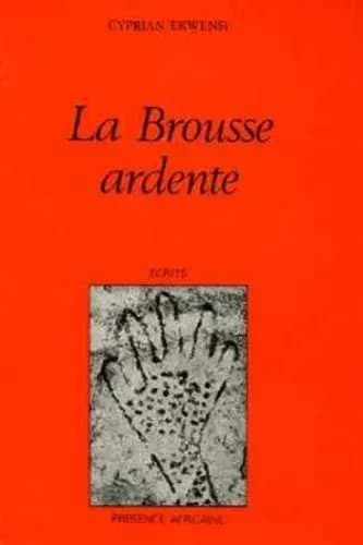 La Brousse ardente : histoire Fulani du Nord du Nigéria, roman