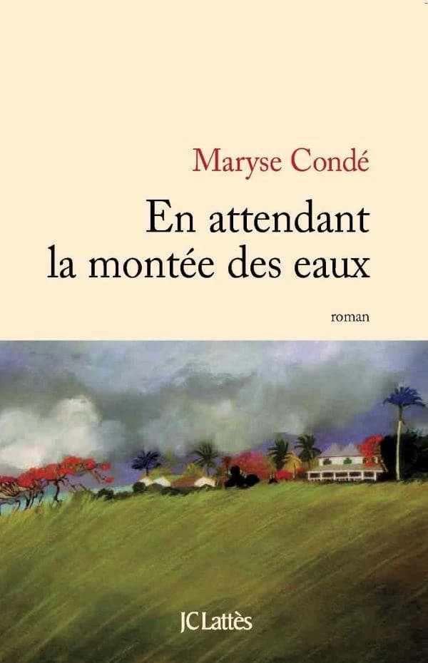 En attendant la montée des eaux : roman