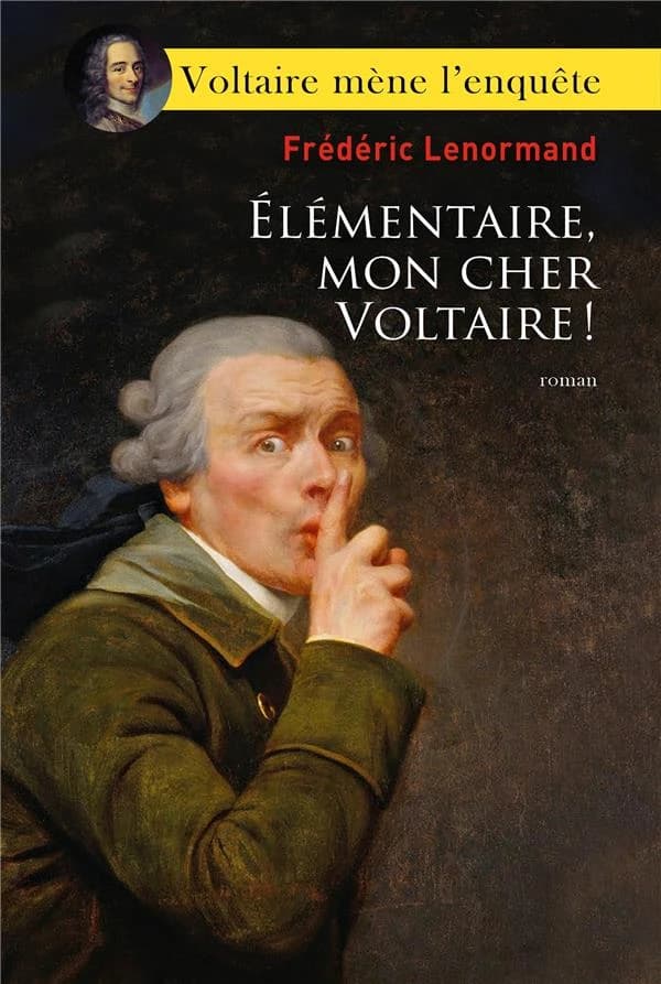 Élémentaire mon cher Voltaire ! : roman