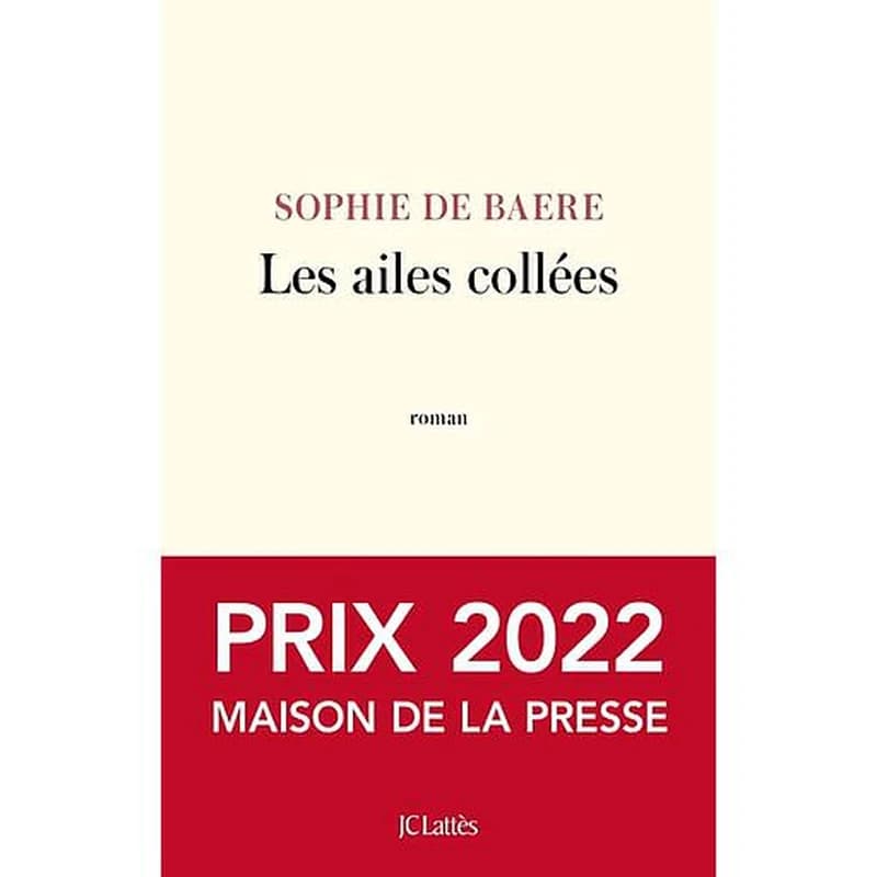 Les ailes collées : roman