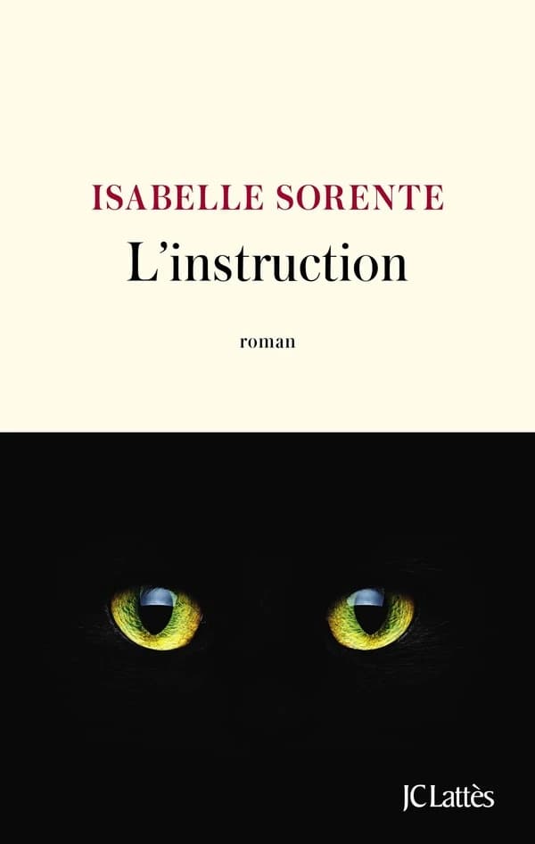 L'instruction : roman