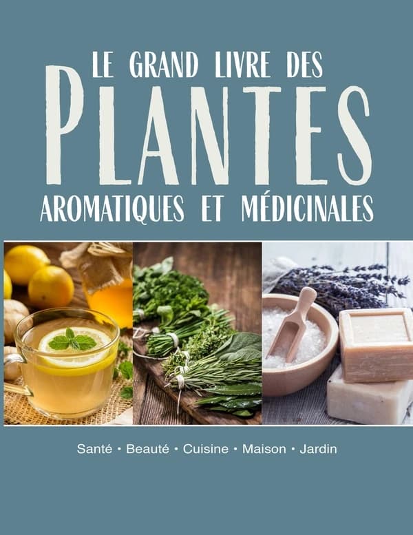 Le grand livre des plantes aromatiques et médicinales : santé, beauté, cuisine, maison, jardin