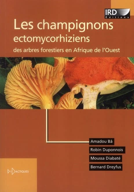 Les champignons ectomycorhiziens des arbres forestiers en Afrique de l'Ouest : méthodes d'étude, diversité, écologie, utilisation en foresterie et comestibilité