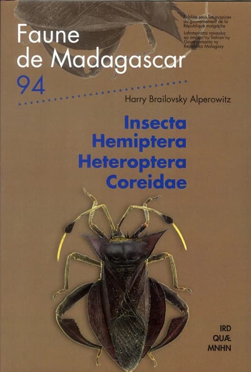 Insecta Hemiptera Heteroptera Coreidae