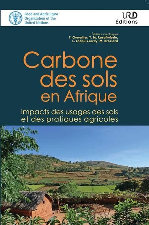 Carbone des sols en Afrique : impacts des usages des sols et des pratiques agricoles