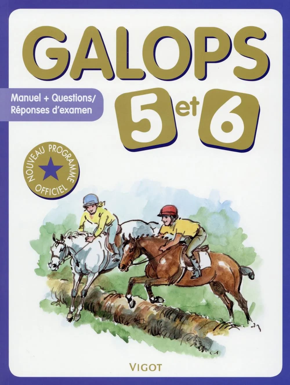 Galops 5 et 6 : manuel + questions-réponses d'examen : nouveau progamme officiel