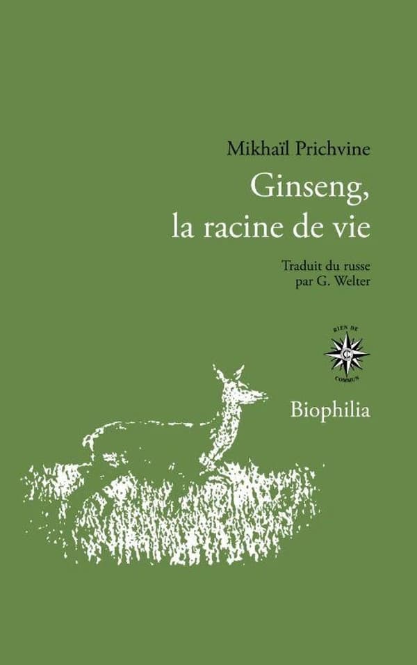 Ginseng : la racine de vie