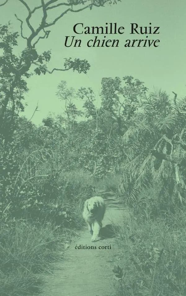 Un chien arrive