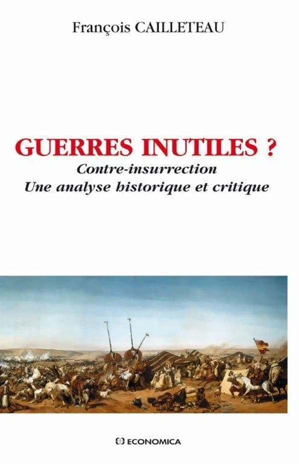 Guerres inutiles ? : contre-insurrection, une analyse historique et critique