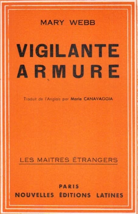 Vigilante armure