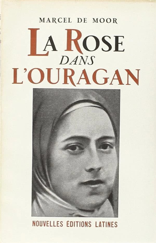 La rose dans l'ouragan