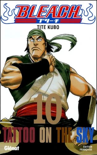 Bleach Tome 10