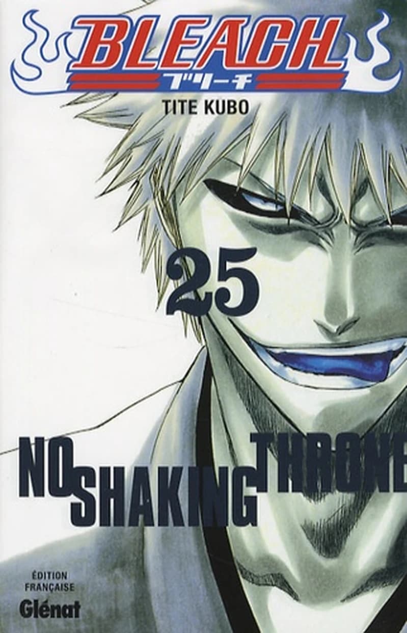 Bleach Tome 25 : No shaking throne