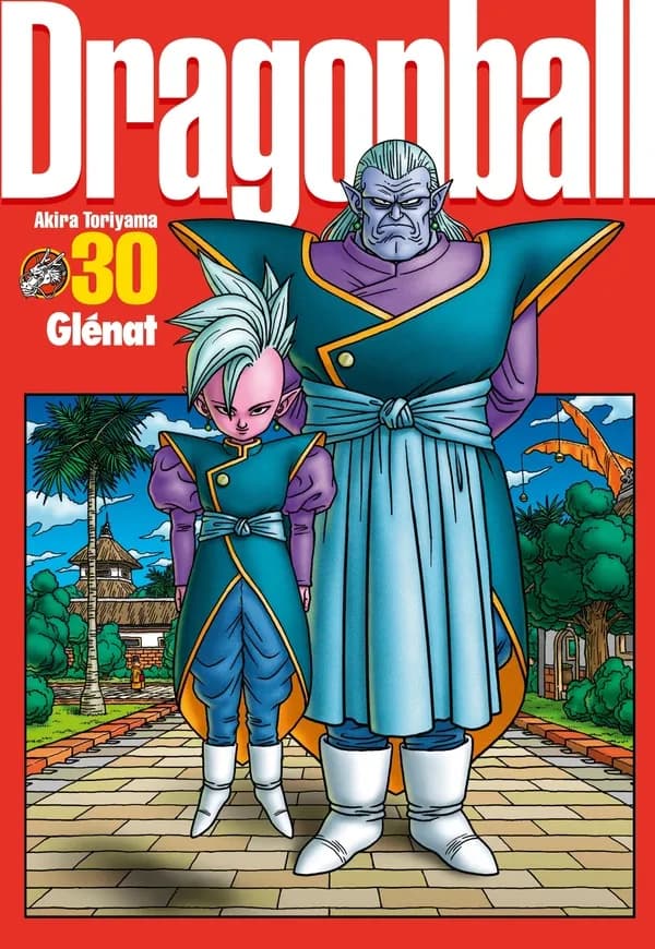 Dragon Ball perfect edition 30
