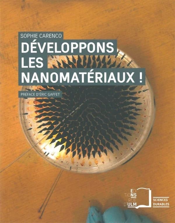 Développons les nanomatériaux ! Fabrication, opportunités et gestion du risque