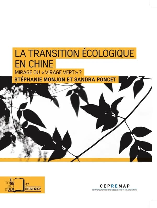 La transition écologique en Chine : mirage ou virage vert ?