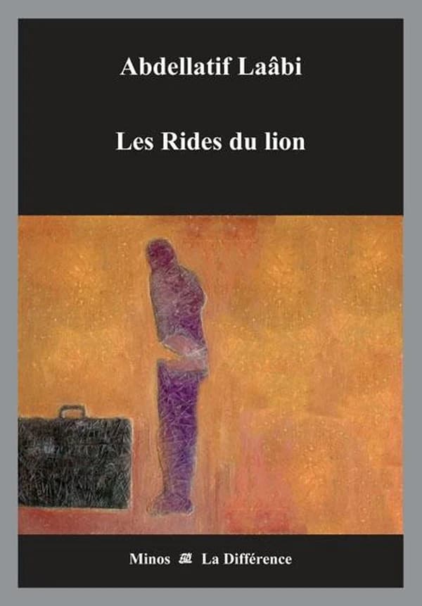 Les rides du lion : roman