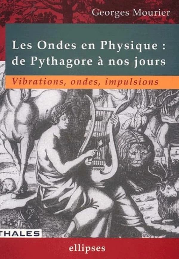 Les ondes en physique : de Pythagore à nos jours : vibrations, ondes, impulsions