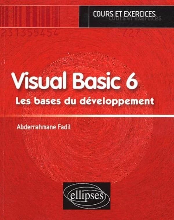 Visual Basic 6 : les bases du développement