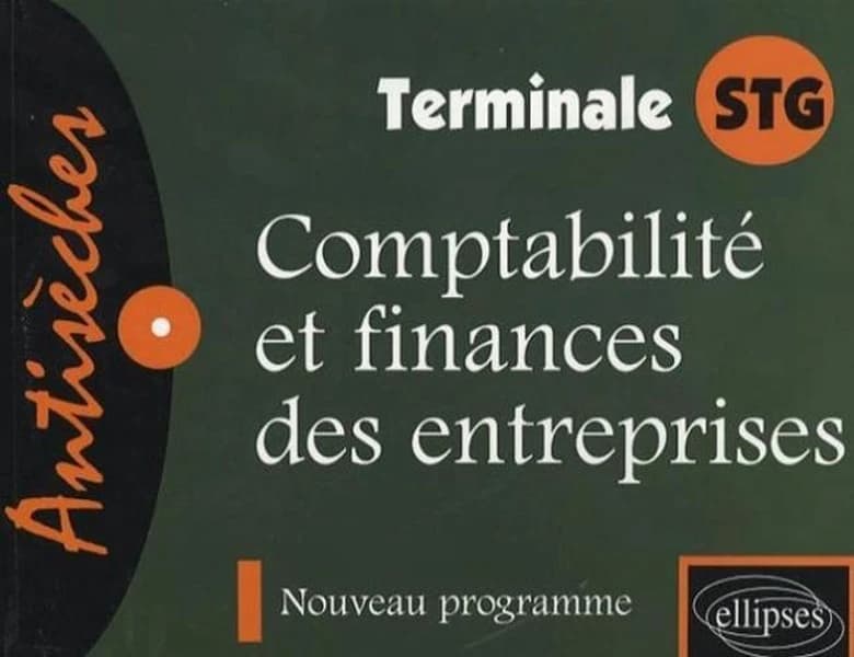Comptabilité et finance des entreprises ; terminale stg