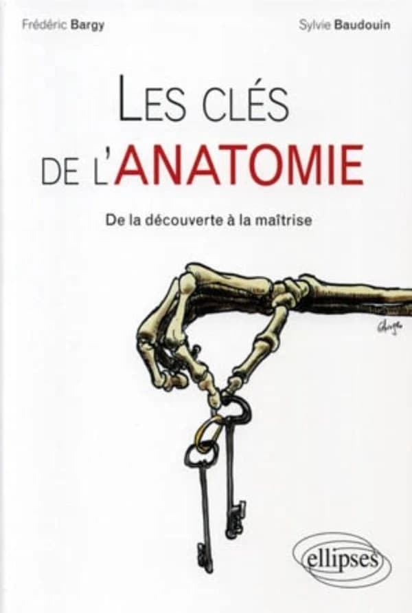 Les clés de l'anatomie : de la découverte à la maîtrise