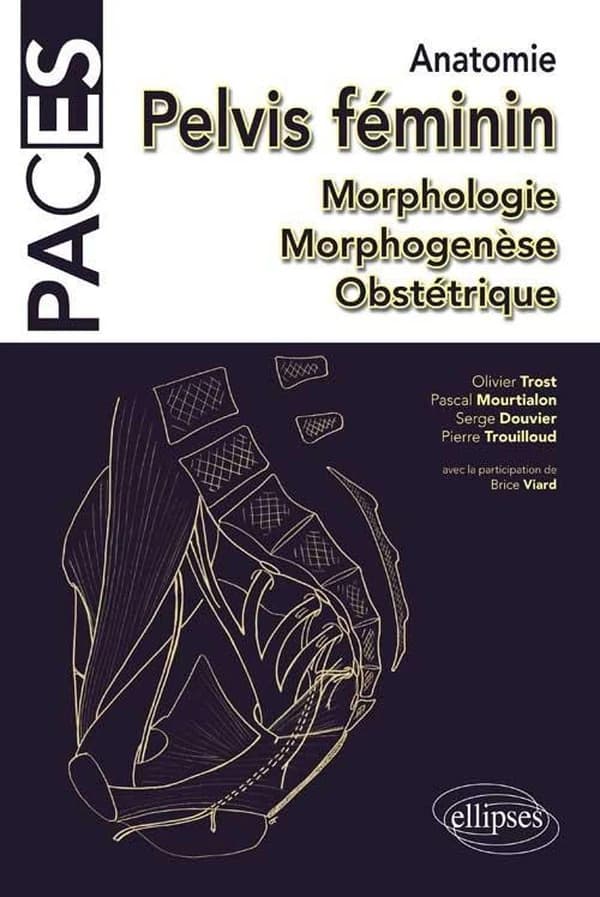 Anatomie du pelvis féminin : morphologie, morphogenèse, obstétrique