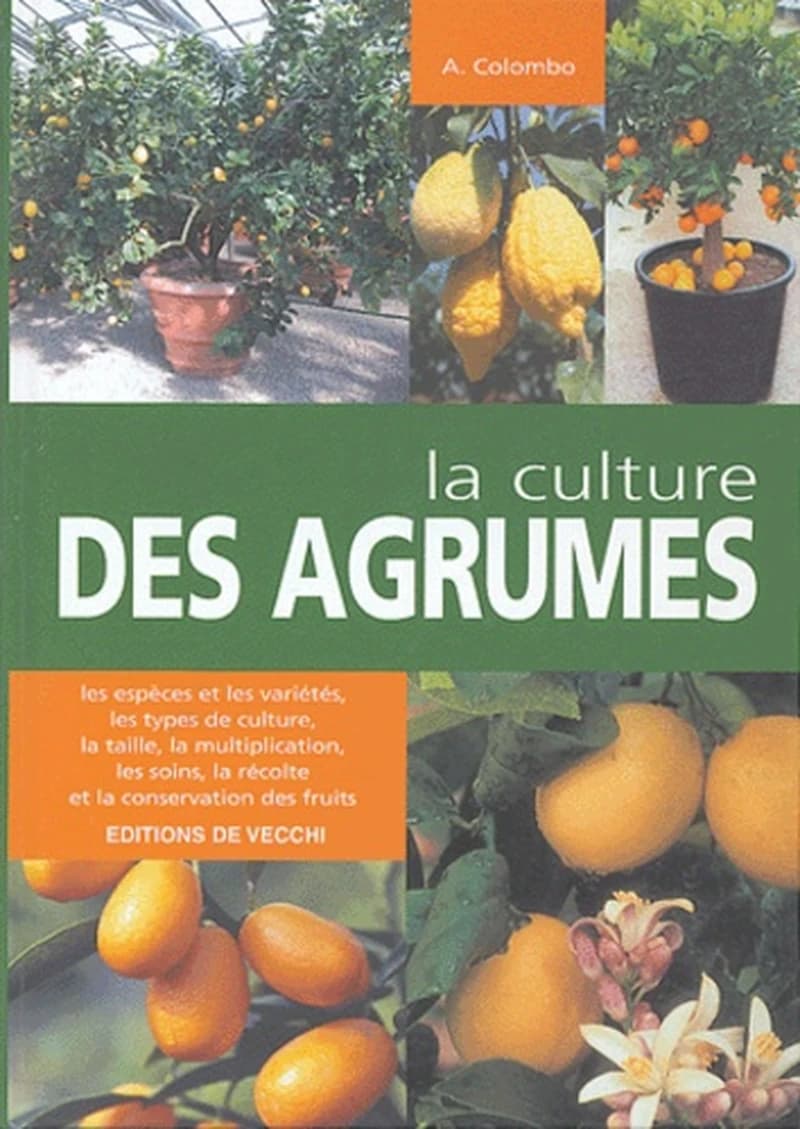 La culture des agrumes