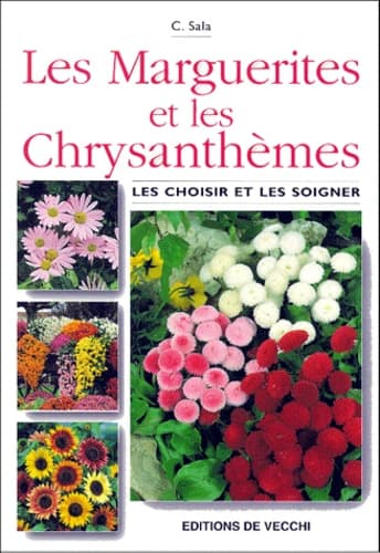 Les marguerites et les chrysanthèmes : les choisir et les soigner