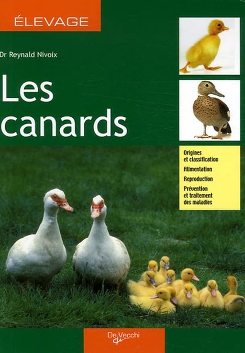 Les canards : origines et classification, alimentation, reproduction, prévention et traitement des maladies