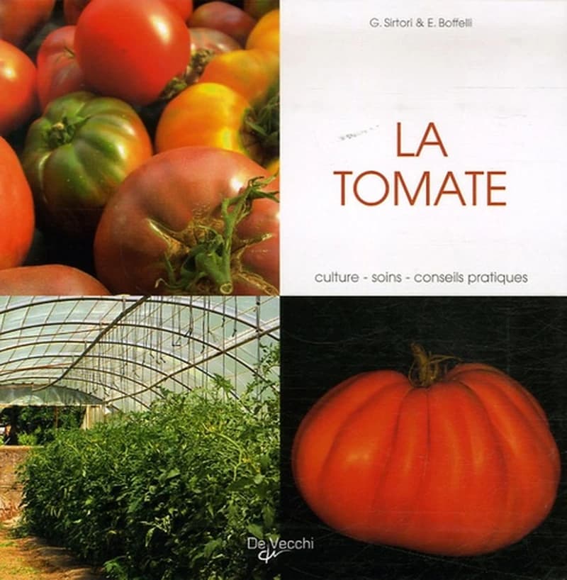 La tomate