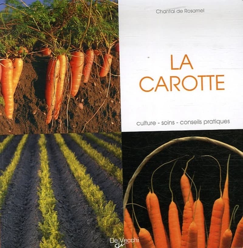 La carotte