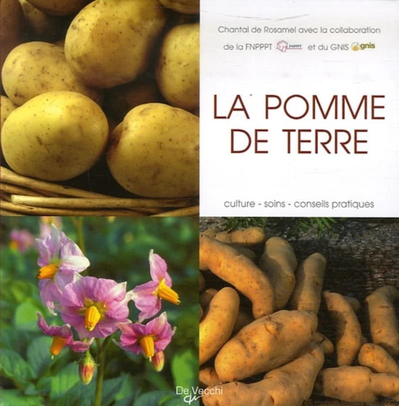 La pomme de terre