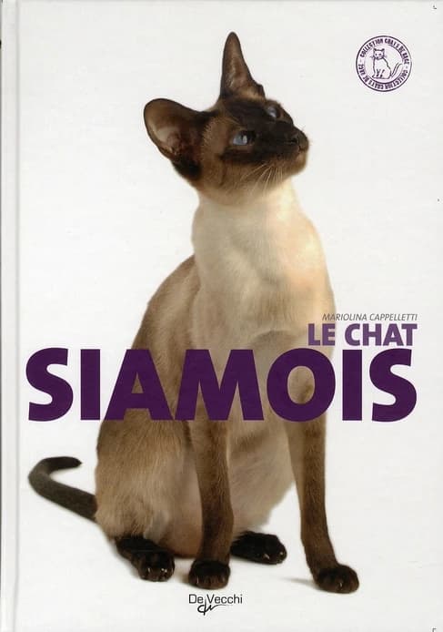 Le chat siamois