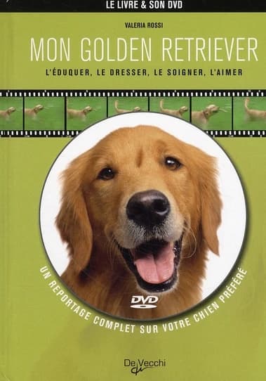 Mon golden retriever