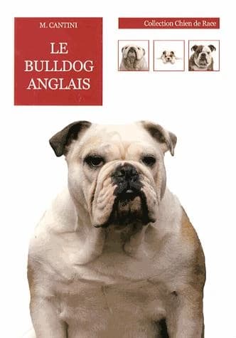 BULLDOG ANGLAIS (French Edition)
