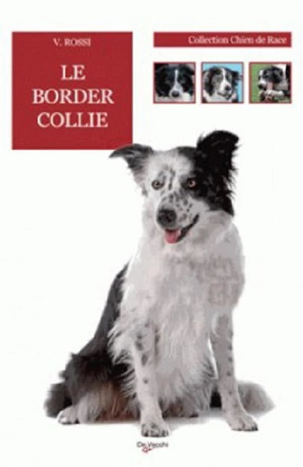 Le border collie (Nouvelle éd.) Valeria Rossi