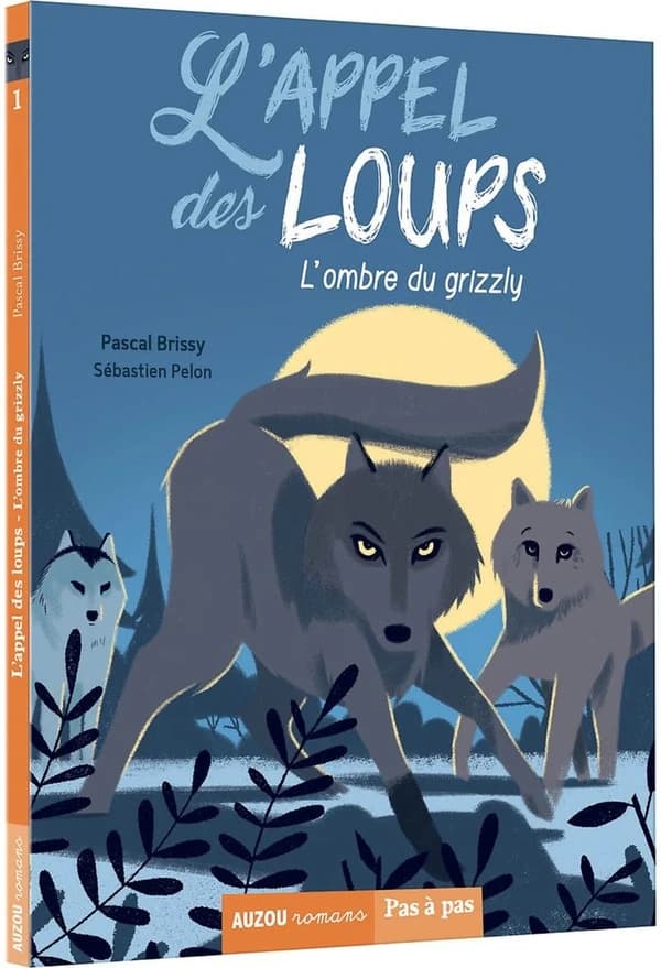 L'ombre du grizzly