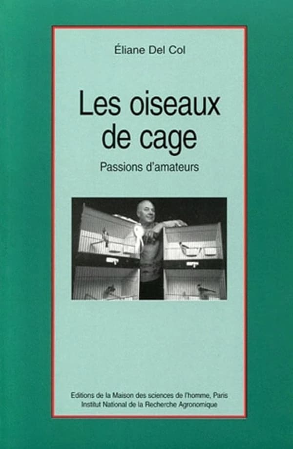 Les oiseaux de cage : passion d'amateurs