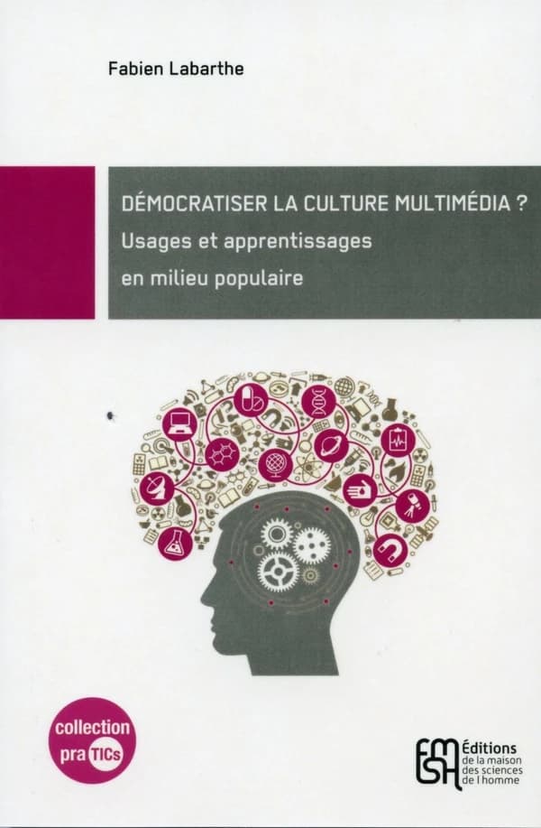 Démocratiser la culture multimédia ? : usages et apprentissages en milieu populaire