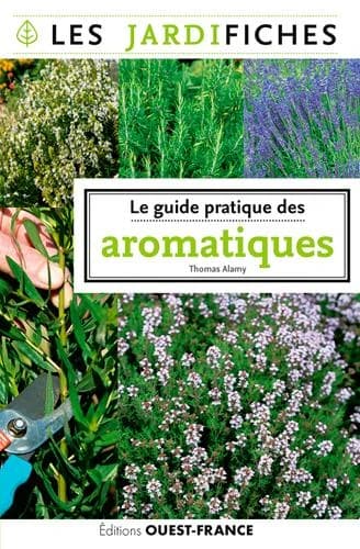 Le guide pratique des aromatiques