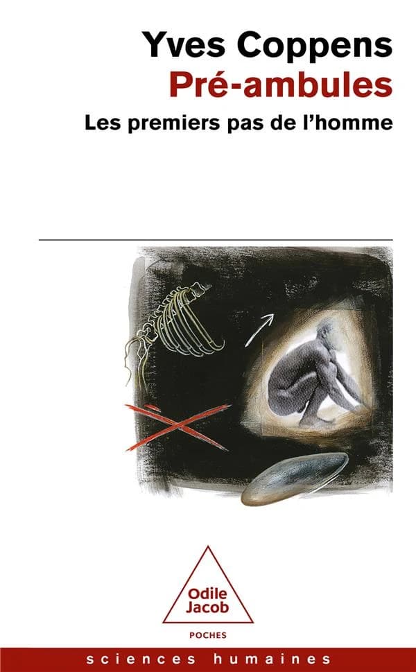 Pré-ambules : les premiers pas de l'homme