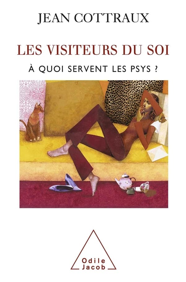 Les visiteurs du soi : à quoi servent les psys ?