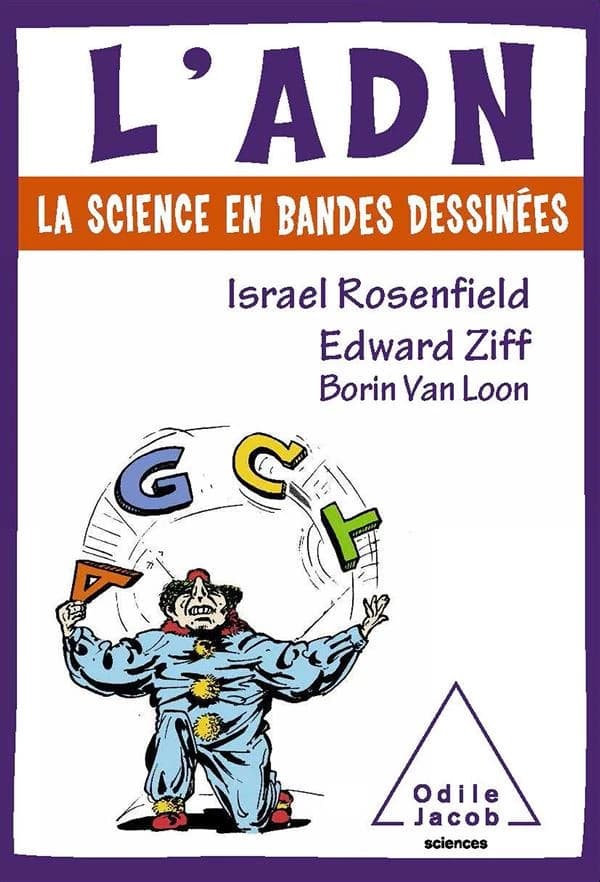 L' ADN