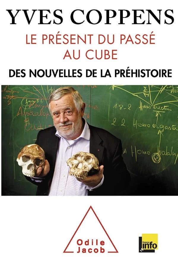 Le présent du passé au cube : des nouvelles de la Préhistoire