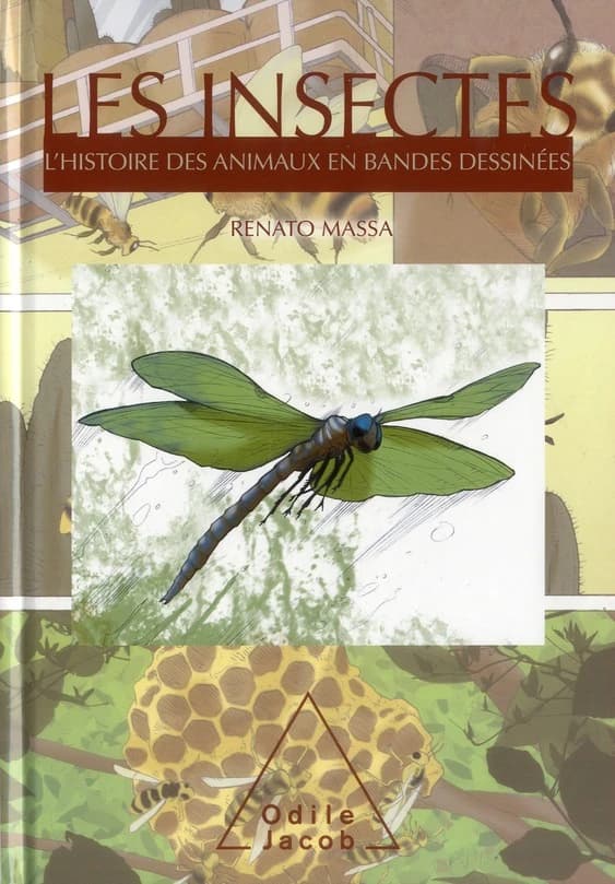 Les insectes
