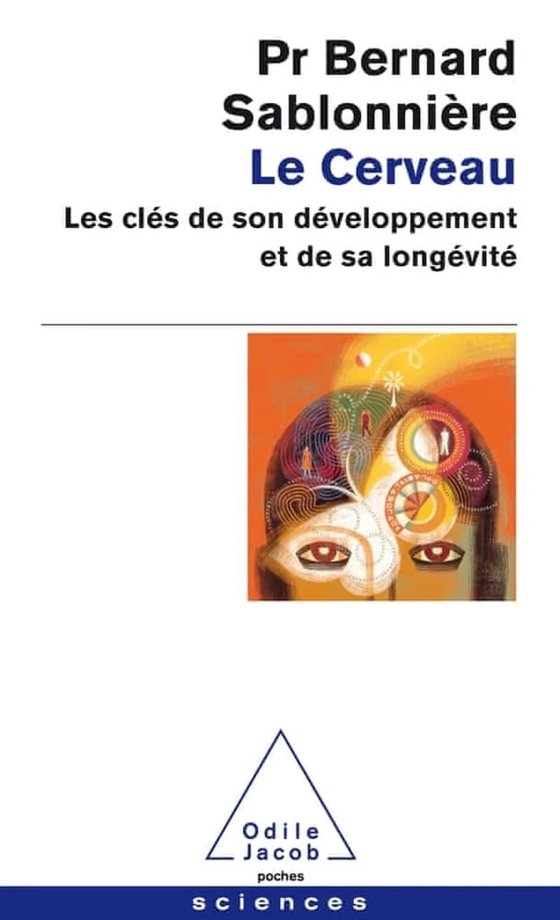 Le cerveau : les clés de son développement et de sa longévité