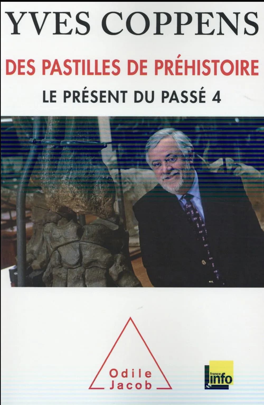Des pastilles de préhistoire : le présent du passé 4