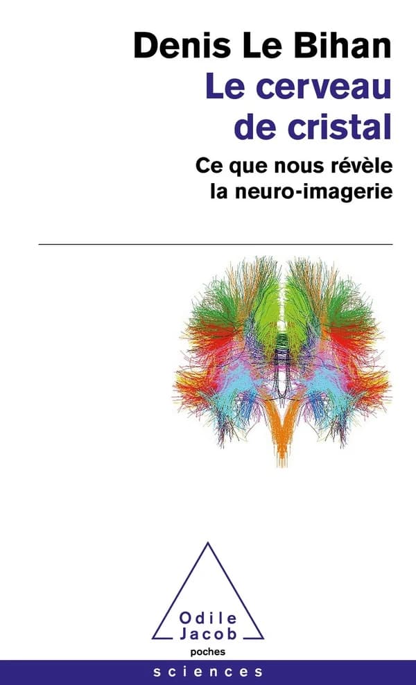 Le cerveau de cristal : ce que nous revèle la neuro-imagerie