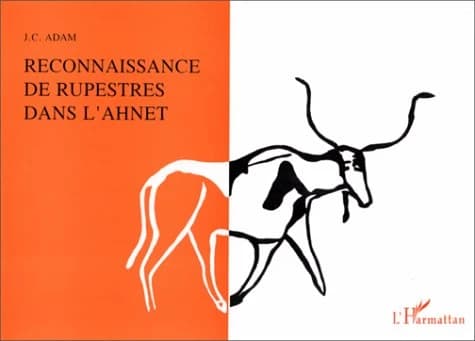 Reconnaissance de rupestres dans l'Ahnet : Sahara algérien